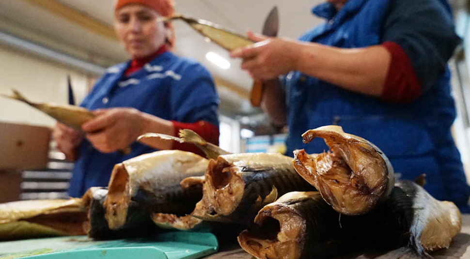 Известия: Белоруссия нарастила поставки рыбы в Россию в 15 раз