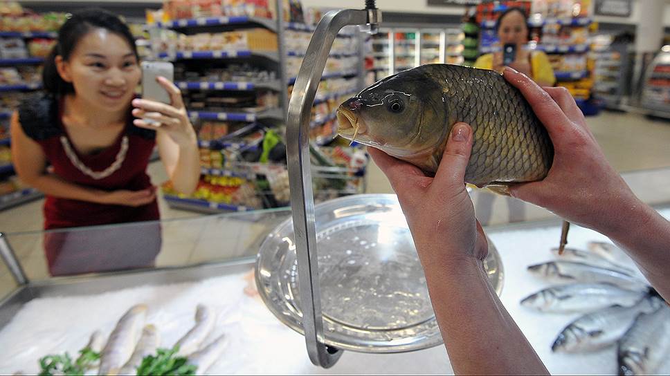 Газета «Коммерсантъ»: «Чиновники берут рыбу за жабры»